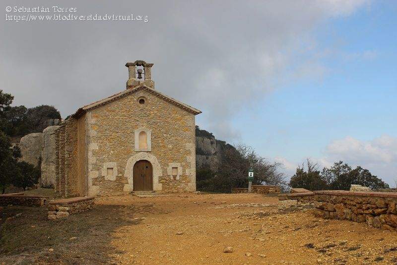 ermita de santa maria de montsant albarca