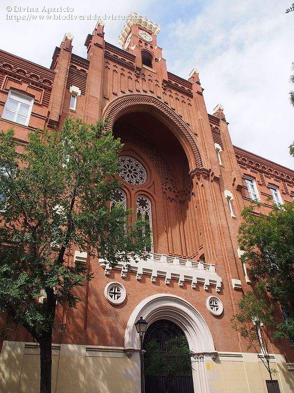 iglesia de la inmaculada y san pedro claver universidad pontificia de comillas madrid 1