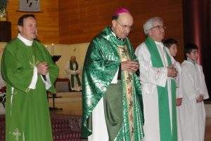 parroquia de la inmaculada concepcion gamonal burgos 1